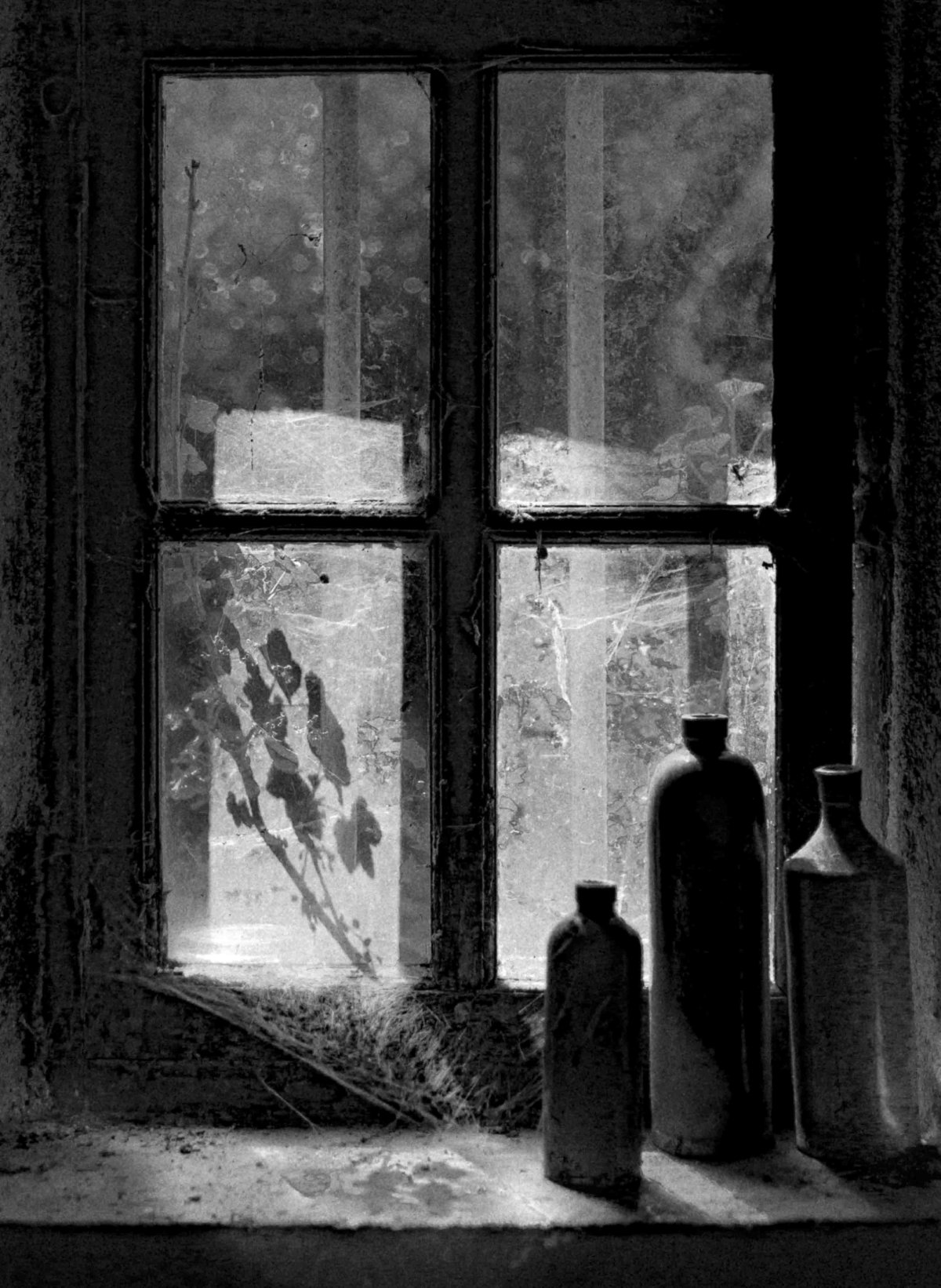 JmDautelPhotographie